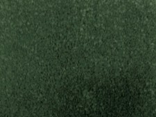 Ocean Green