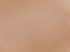 Ford Moonstone Beige Perforated