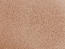 Ford Moonstone Beige