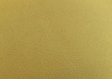Stone/Putty